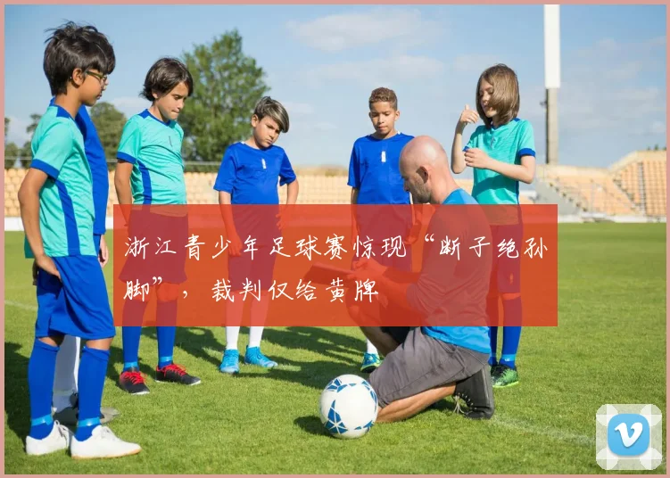 浙江青少年足球赛惊现“断子绝孙脚”，裁判仅给黄牌