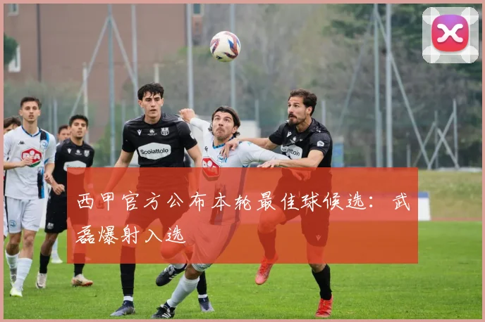 西甲官方公布本轮最佳球候选：武磊爆射入选