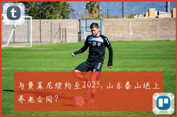 与费莱尼续约至2025,山东泰山送上养老合同？