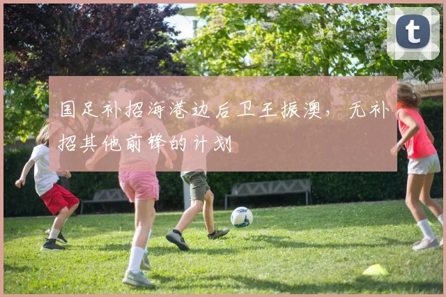 国足补招海港边后卫王振澳，无补招其他前锋的计划