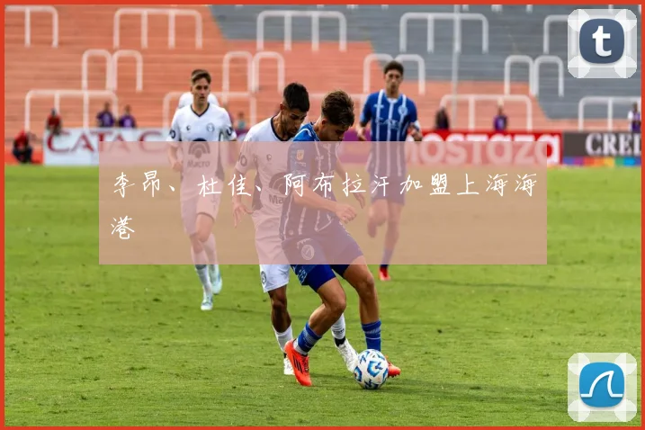 李昂、杜佳、阿布拉汗加盟上海海港