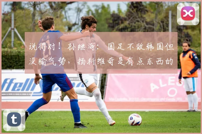 说得对！孙继海：国足不敌韩国但没输气势，扬科维奇是有点东西的